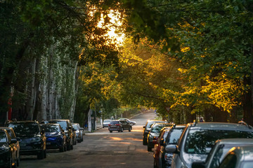 Obraz premium road