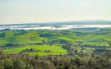Obraz premium wieś uprawiana w porannym słońcu mgła