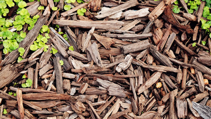 Dry wood as background