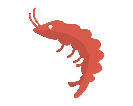 Shrimp image vector icon