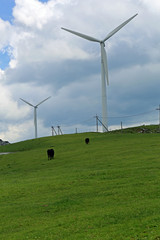 四国カルスト高原