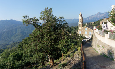 Fototapeta na wymiar Silvareccio village in Corsica mountain 