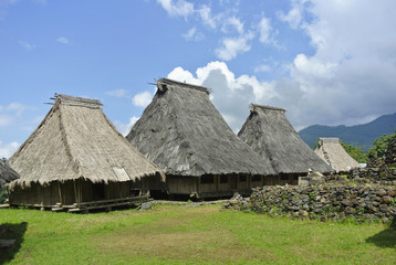 Fototapeta na wymiar Scenic view of traditional village og Indonesia