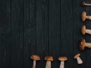 Autumn Cep Mushrooms. Basket with porcini mushrooms on the background of a tree outdoors. Close -up on wood rustic table. Cooking delicious organic mushroom.