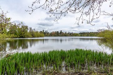 View over the Mere, near Ellesmere, Shropshire, UK