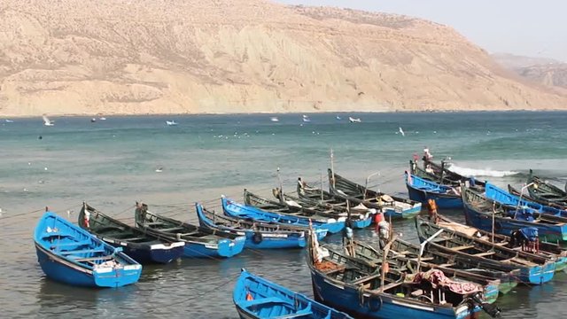 Boats, Seagulls, and Waves in Imsouane, Morocco
