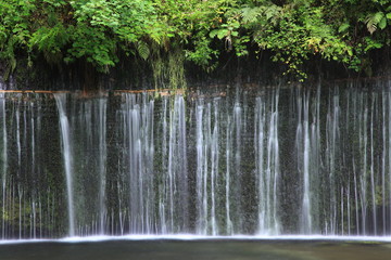 水で出来たカーテン