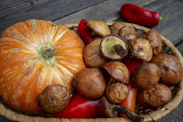 овощи и грибы 