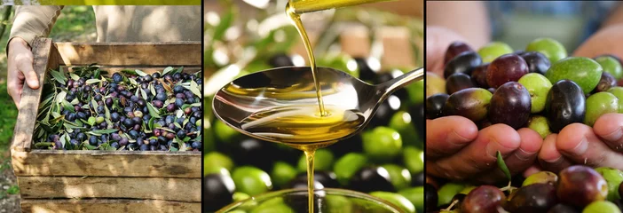 Poster Im Rahmen Zusammensetzung von italienischem Öl und Oliven, Konzept von Bio-Lebensmitteln und echten Lebensmitteln. Italienische Olivenhaine und Tradition und Leidenschaft für antike Arbeit. © Kitreel