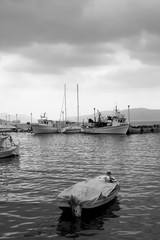 Obraz premium IMG_2750