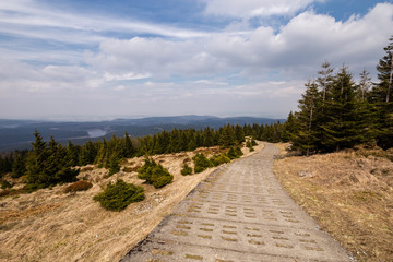Alter Grenzweg im Harz, Plattenweg