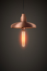 Decorative edison light bulb in Retro design ceiling cone lamp. Vintage and antique style with copper. Original Vintage design. Vector Illustration