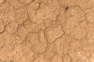 Dry cracks on a sandy-silty brown soil in North Germany.