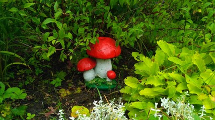 red mushrooms in the garden