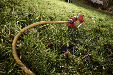 fountain water the grass