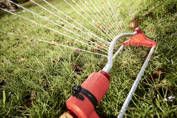 fountain water the grass