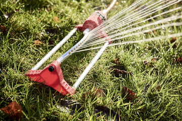 fountain water the grass