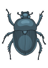 Scarab illustration, doodle, cartoon, drawing, ink, line art, vector