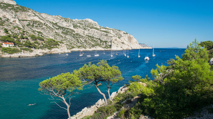 Fototapeta premium Calanque Sormiou