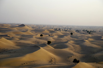 Fototapeta na wymiar Sand dunes of dubai dessert, Dubai, UAE