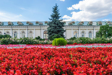 A flowerbed with red and white flowers in Alexander garden in Moscow, Russia