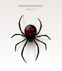 Spider with a pattern on the abdomen in the form of an ominous smile. Halloween vector illustration,