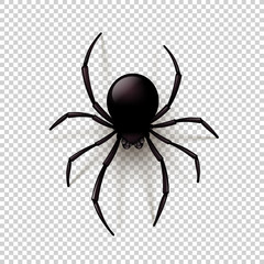 Black Spider with transparent shadow on a checkered background. Can be placed on any background. Vector illustration, - obrazy, fototapety, plakaty