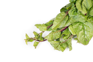 Organic fresh raw bunch of red Malabar Spinach