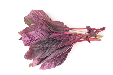 Bunch of organic Red amaranth salad leaves