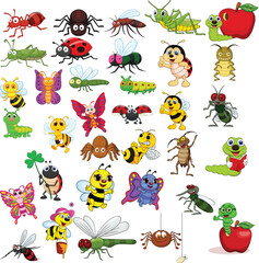 Cartoon insects collection set - obrazy, fototapety, plakaty