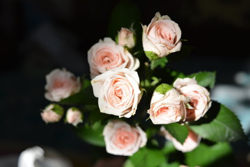Lot of elegant yellow pink small roses with green leaves on a black background