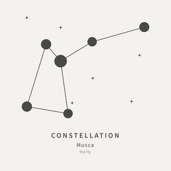 The Constellation Of Musca. The Fly - linear icon. Vector illustration of the concept of astronomy.