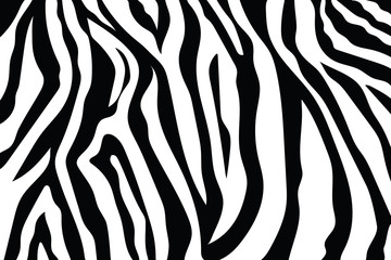 Fototapeta Zebra Stripes Pattern. Zebra print, animal skin, tiger stripes, abstract pattern, line background, fabric. Amazing hand drawn vector illustration. Poster, banner. Black and white artwork, monochrom obraz
