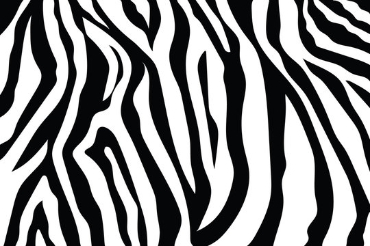 Zebra Stripes Pattern. Zebra print, animal skin, tiger stripes, abstract pattern, line background, fabric. Amazing hand drawn vector illustration. Poster, banner. Black and white artwork, monochrom
