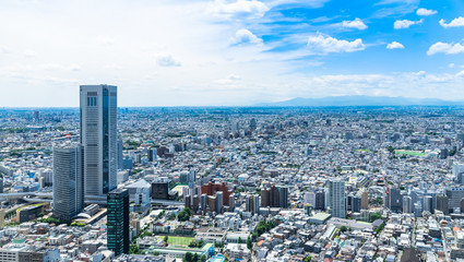 東京　住宅街が広がる都市風景