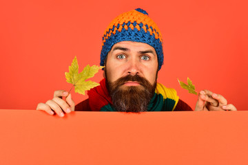Hipster with beard and sad face looks disappointed