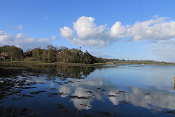 Castle Ward, Northern Ireland