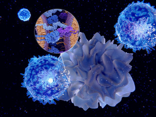 Antigenpräsentierende Zelle aktiviert eine T-Zelle.
Vergrößerung: MHC 2-Antigen-T-Zell-Rezeptor-Komplex