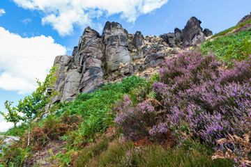 Rocks at the Roaches, Peak District National park, view of the stone hills and field, selective focus