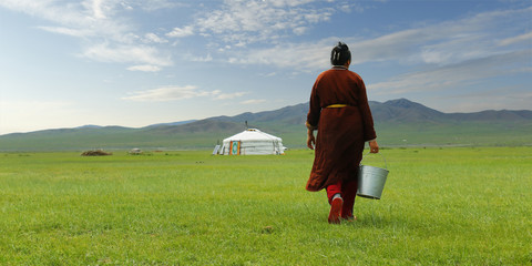 Mongolian farmer carrying bucket of milk after milking cow   in the grassland of Mongolia