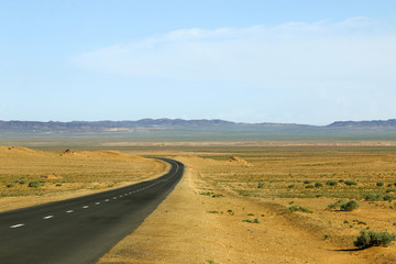 Fototapeta na wymiar Road in the steppe of gobi desert, Mongolia