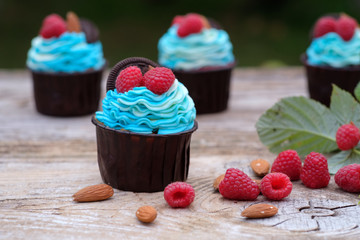 beautiful cupcakes with raspberries and almonds