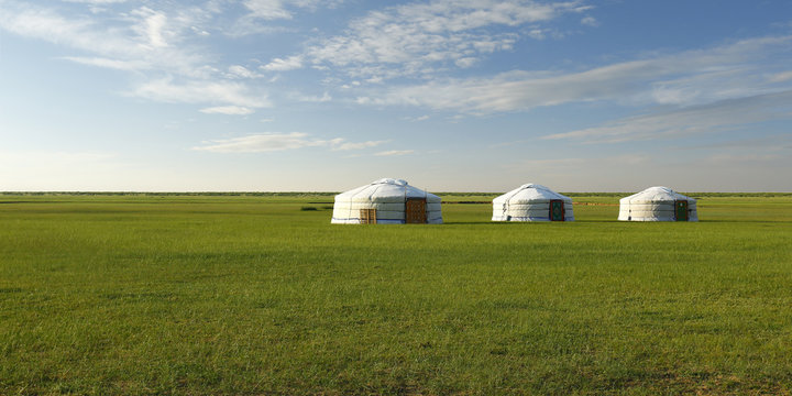 camp of yurt , in the grassland of Mongolia