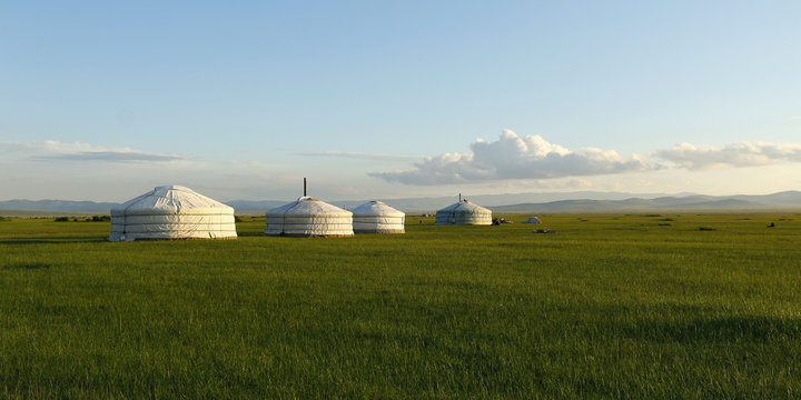 camp of yurt , in the grassland of Mongolia