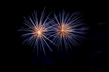 Fototapeta na wymiar retail of blue Fireworks between trees silhouettes