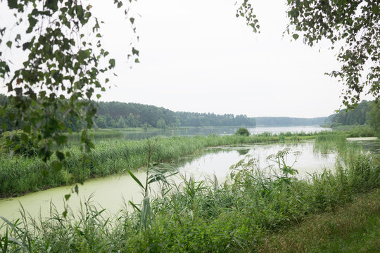 on the lake in summer in Osno Lubuskie in Poland