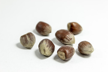 Close-up shot of multiple hazelnuts with blurry white background