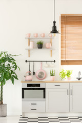 Pastel pink kettle placed on countertop in real photo of white kitchen interior with fresh plants,...