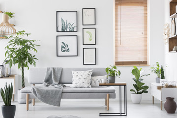 Fototapeta na wymiar Gallery with plant posters hanging on wall in real photo of bright living room interior with window with wooden blinds and grey sofa with cushions and blanket