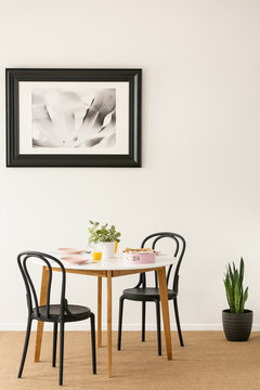 Black chairs standing by wooden dining table with juice, pastel pink plates, fresh plant and cake in real photo of white room interior with poster on wall